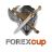 ���� ForexCup